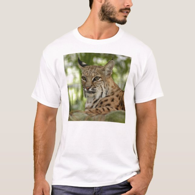 BobcatBCR032 T-Shirt (Front)