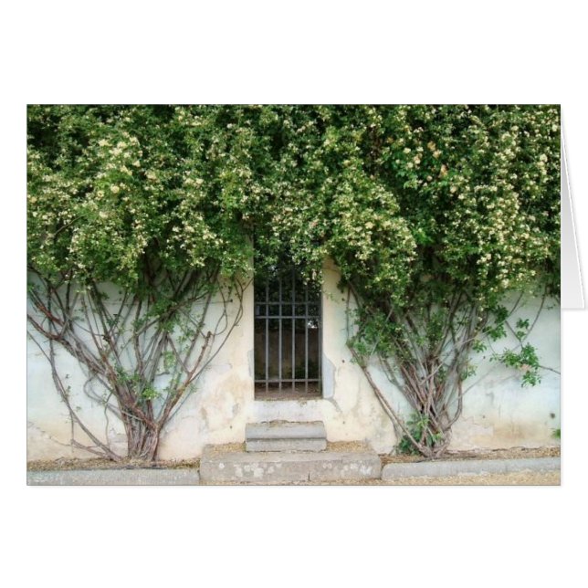 Boboli Gardens (Front Horizontal)