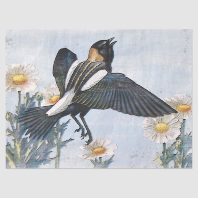 Bobolink Bird Decoupage Tissue Paper (Front)