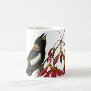 Bobolink by Audubon Coffee Mug