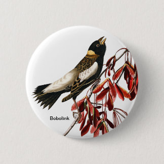 Bobolink by John James Audubon, Birder, Rice Bird 2 Inch Round Button