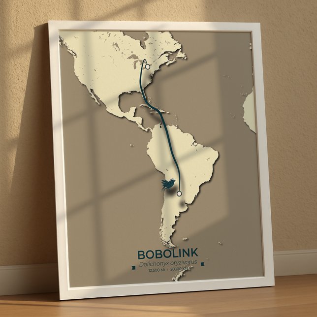 Bobolink Migration Map – Minimalist Vintage Poster (Creator Uploaded)