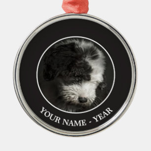 Bobtail puppy portrait in studio metal ornament