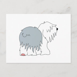 Bobtail Sheepdog Postcard