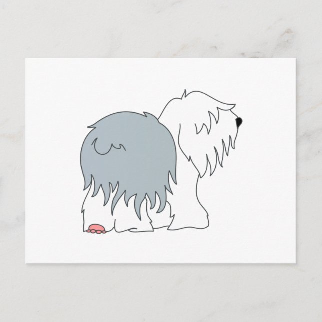 Bobtail Sheepdog Postcard (Front)