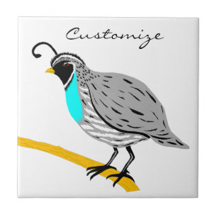 Bobwhite Blue-throated Quail Thunder_Cove Tile