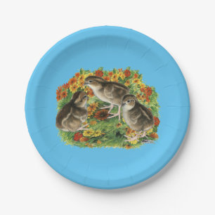 Bobwhite Garden Chicks Paper Plate