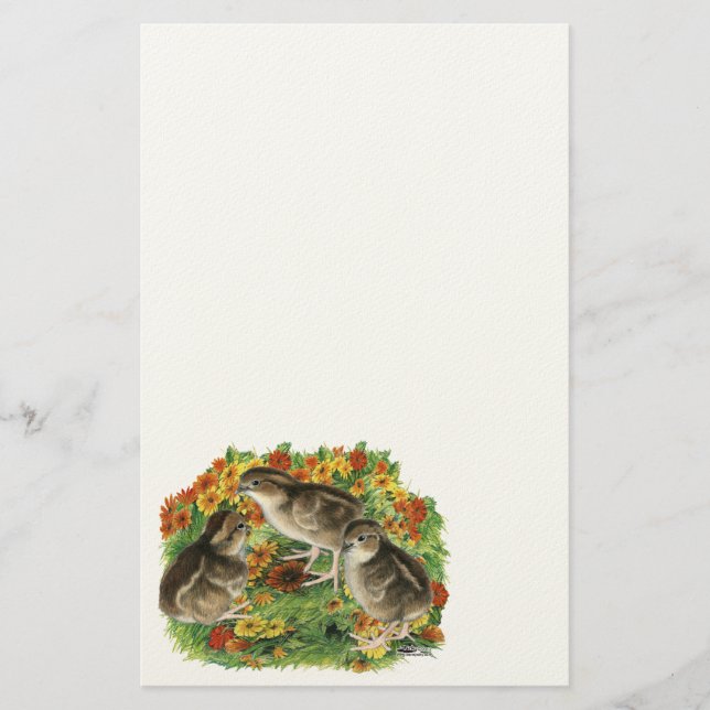 Bobwhite Garden Chicks Stationery (Front)