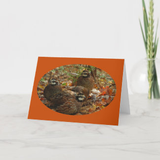 Bobwhite Miracle Card