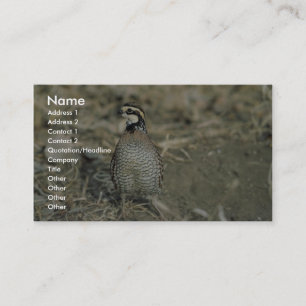 Bobwhite Quail Business Card