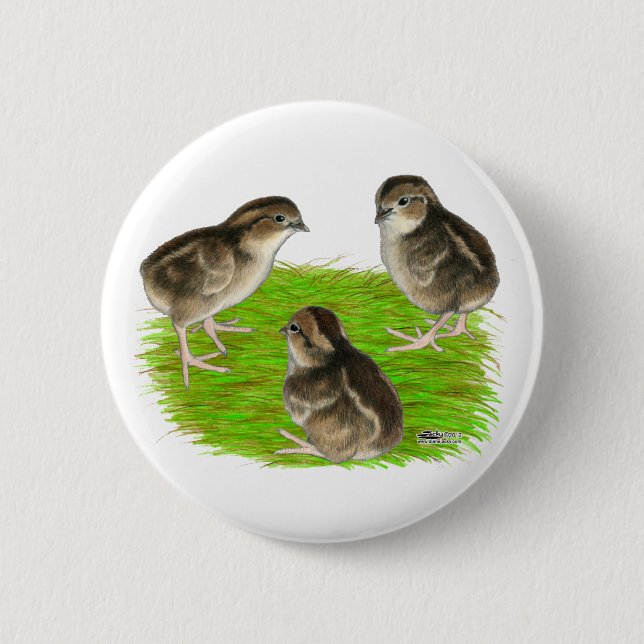 Bobwhite Quail Chicks 2 Inch Round Button (Front)