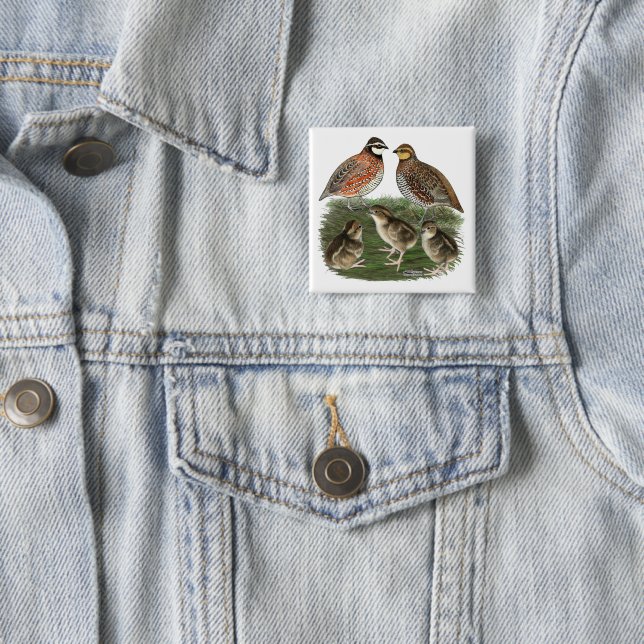 Bobwhite Quail Family 2 Inch Square Button (In Situ)