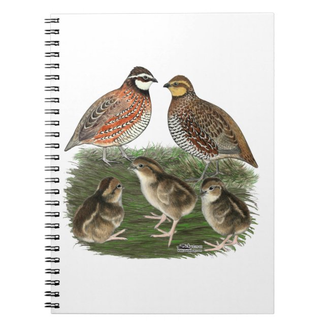 Bobwhite Quail Family Notebook (Front)