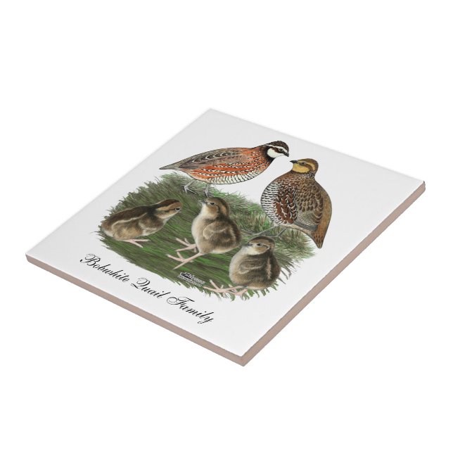 Bobwhite Quail Family Tile (Side)