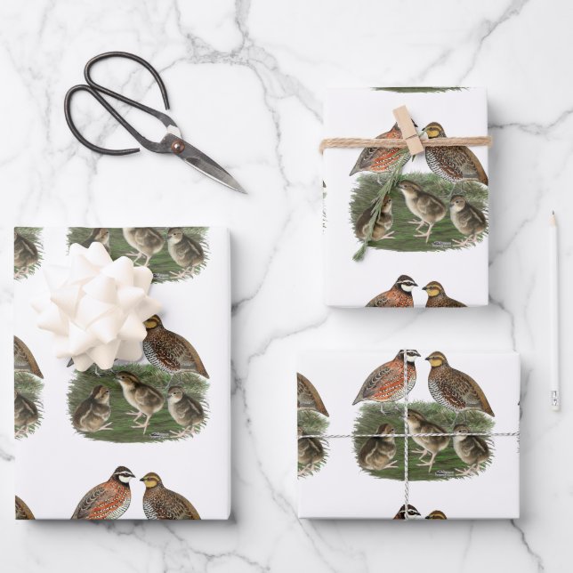 Bobwhite Quail Family Wrapping Paper Sheet (Front)