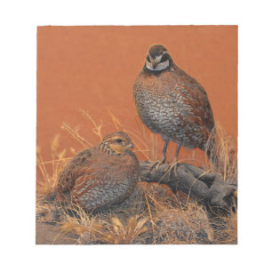 Bobwhite Quail (Georgia, Missouri and Tennessee) Notepad