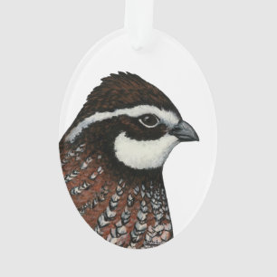 Bobwhite Quail Head