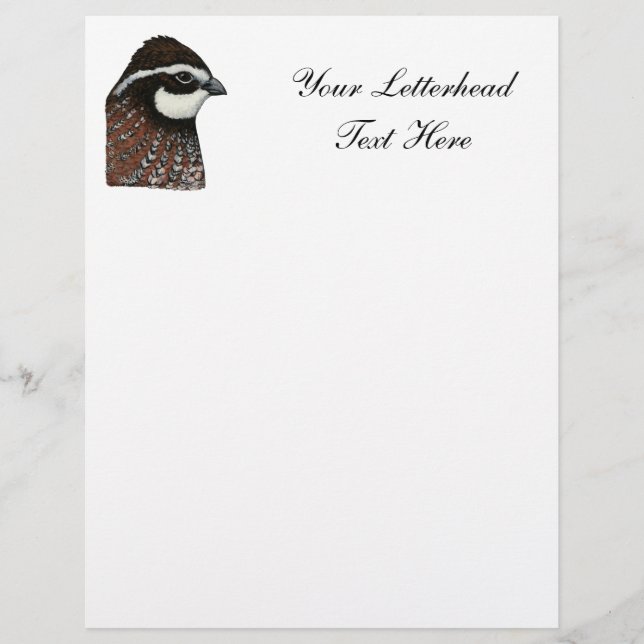 Bobwhite Quail Head (Front)