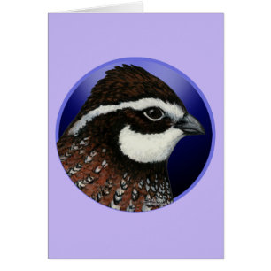 Bobwhite Quail Head Circle