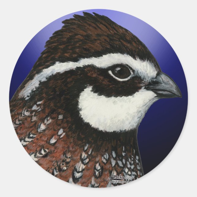 Bobwhite Quail Head Circle Classic Round Sticker (Front)
