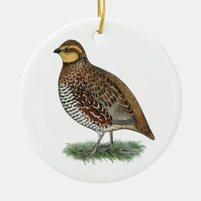 Bobwhite Quail Hen Ceramic Ornament (Front)