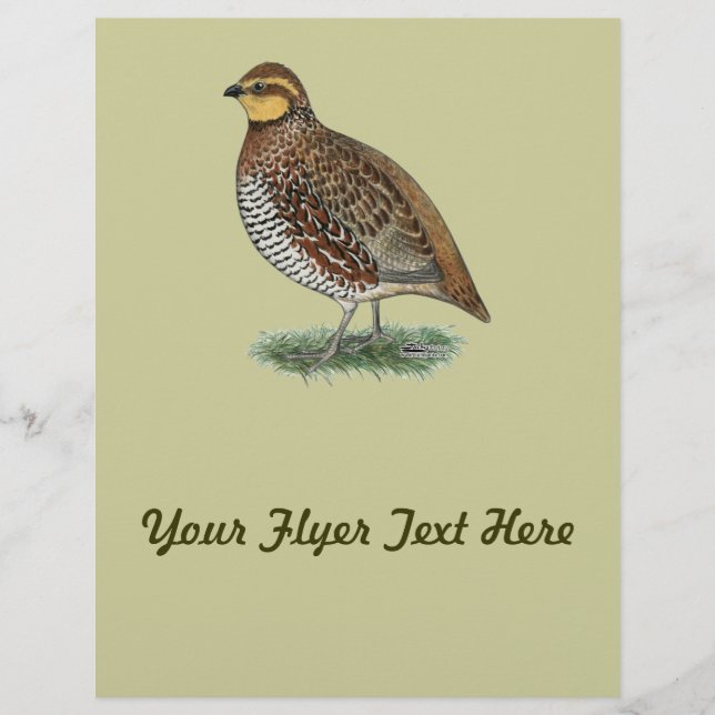 Bobwhite Quail Hen Flyer (Front)