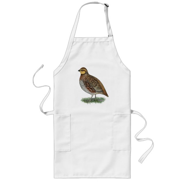 Bobwhite Quail Hen Long Apron (Front)