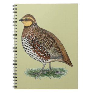 Bobwhite Quail Hen Notebook