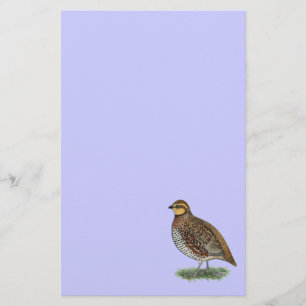 Bobwhite Quail Hen Stationery