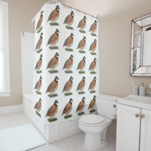 Bobwhite Quail Rooster