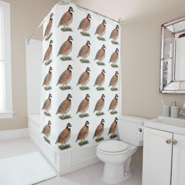 Bobwhite Quail Rooster (In Situ)