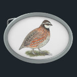 Bobwhite Quail Rooster Belt Buckle<br><div class="desc">The little Bobwhite quail is a beloved game bird over much of its range.  The colouring is quite variable,  a typical rooster is shown here.</div>