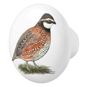 Bobwhite Quail Rooster Ceramic Knob