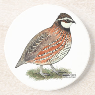 Bobwhite Quail Rooster Coaster