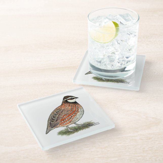 Bobwhite Quail Rooster Glass Coaster (Angled)