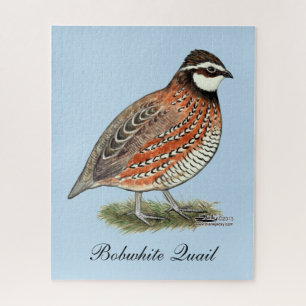 Bobwhite Quail Rooster Jigsaw Puzzle