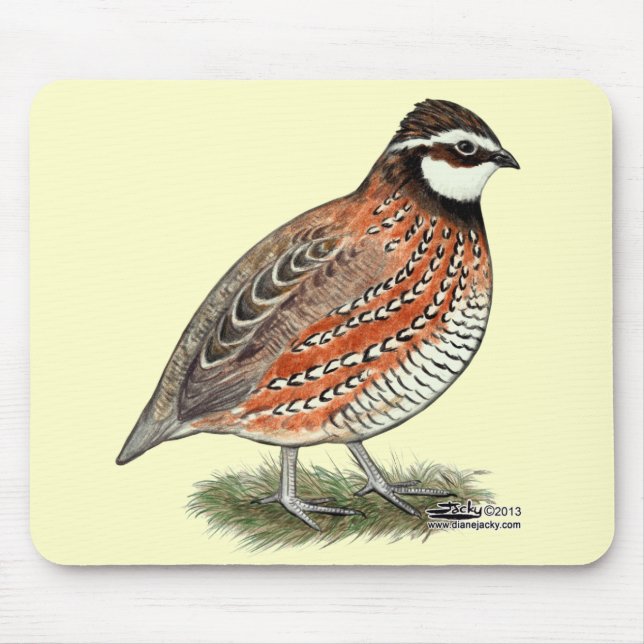 Bobwhite Quail Rooster Mouse Pad (Front)