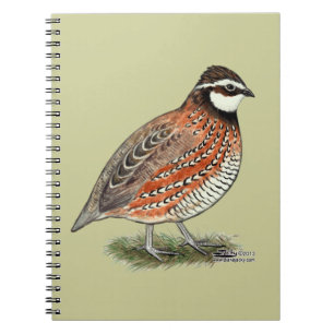 Bobwhite Quail Rooster Notebook