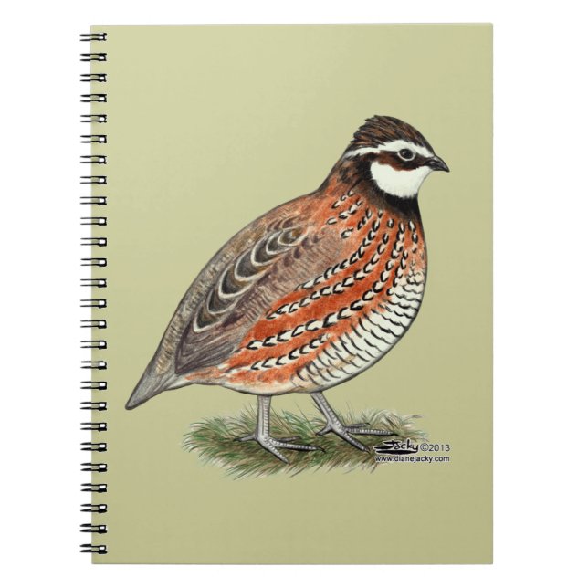 Bobwhite Quail Rooster Notebook (Front)