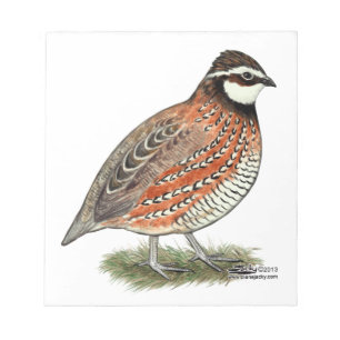 Bobwhite Quail Rooster Notepad