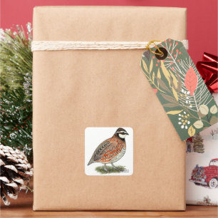 Bobwhite Quail Rooster Square Sticker