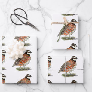 Bobwhite Quail Rooster Wrapping Paper Sheet