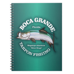 Boca Grande Tarpon Fishing Notebook