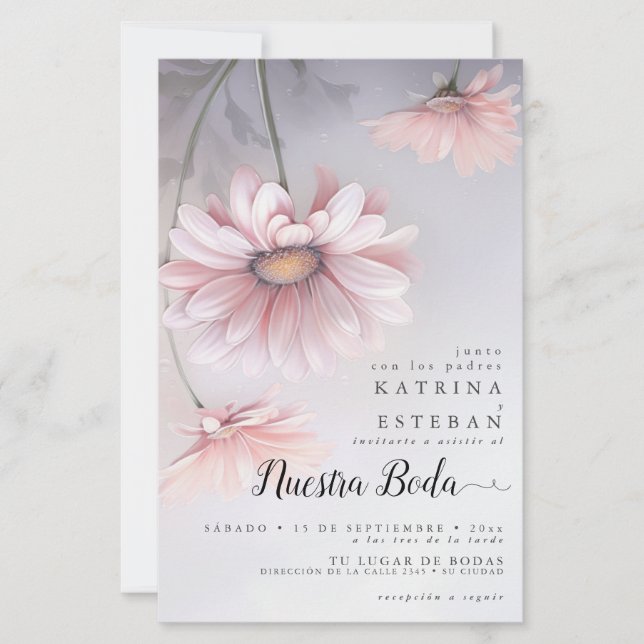 Boda en margaritas rosas pálidas españolas (Front)
