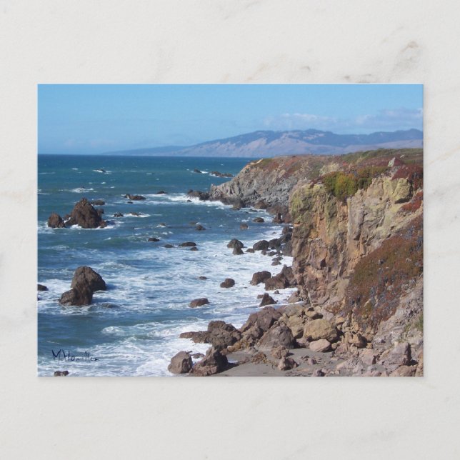 Bodega Bay Postcard (Front)