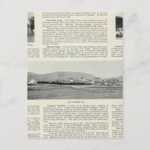 Bodega, California Postcard