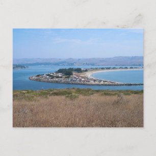 Bodega Harbour and Doran Park Postcard