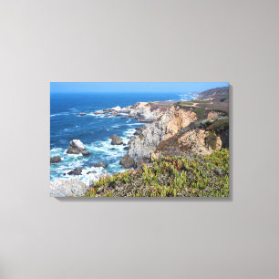 Bodega Head Rugged Coast and Trail Canvas Print