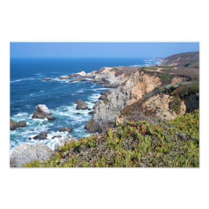 Bodega Head Rugged Coast and Trail Photo Print