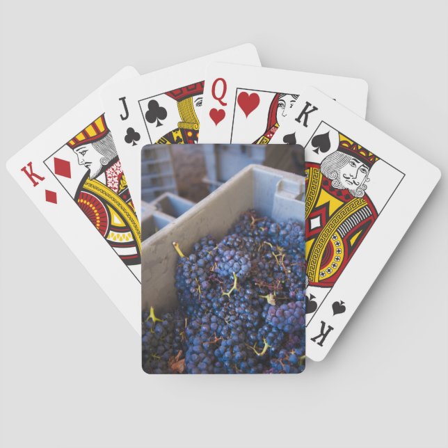 Bodega Marques de Riscal winery, grapes Playing Cards (Back)